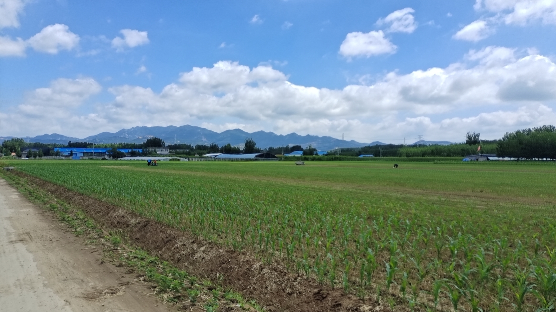风景-2 image